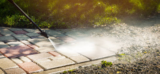 Best Animal Enclosure Cleaning  in Camas, WA